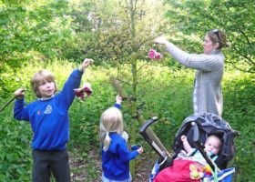 Rachel, family and tree